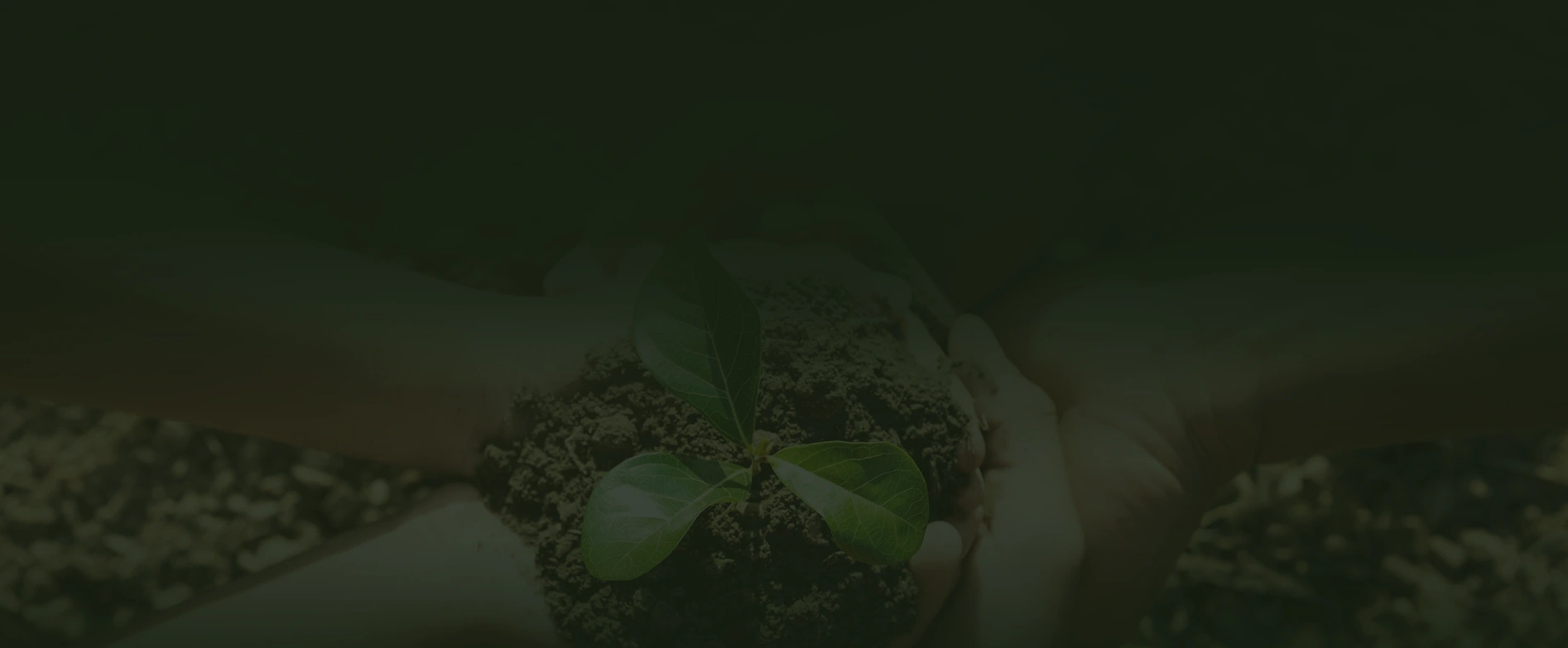 Associations où s'engager pour protéger la planète