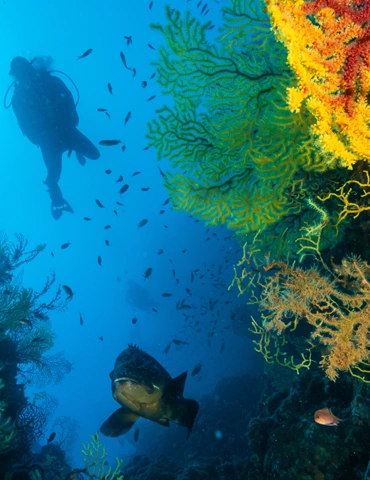 La réserve naturelle de Scandola